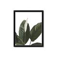 Picture of Focus of White Flower Peace Lily _GroupedProduct_Rectangle_Portrait_Framed_Matted_