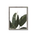 Picture of Focus of White Flower Peace Lily _GroupedProduct_Rectangle_Portrait_Framed_Matted_