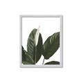 Picture of Focus of White Flower Peace Lily _GroupedProduct_Rectangle_Portrait_Framed_Matted_