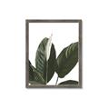 Picture of Focus of White Flower Peace Lily _GroupedProduct_Rectangle_Portrait_Framed_Matted_