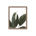Picture of Focus of White Flower Peace Lily _GroupedProduct_Rectangle_Portrait_Framed_Matted_