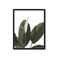 Picture of Focus of White Flower Peace Lily _GroupedProduct_Rectangle_Portrait_Framed_Matted_