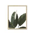 Picture of Focus of White Flower Peace Lily _GroupedProduct_Rectangle_Portrait_Framed_Matted_