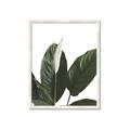 Picture of Focus of White Flower Peace Lily _GroupedProduct_Rectangle_Portrait_Framed_Matted_