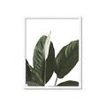 Picture of Focus of White Flower Peace Lily _GroupedProduct_Rectangle_Portrait_Framed_Matted_