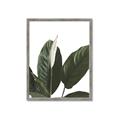 Picture of Focus of White Flower Peace Lily _GroupedProduct_Rectangle_Portrait_Framed_Matted_