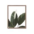Picture of Focus of White Flower Peace Lily _GroupedProduct_Rectangle_Portrait_Framed_Matted_