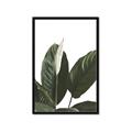 Picture of Focus of White Flower Peace Lily _GroupedProduct_Rectangle_Portrait_Framed_Matted_