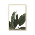 Picture of Focus of White Flower Peace Lily _GroupedProduct_Rectangle_Portrait_Framed_Matted_