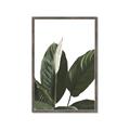 Picture of Focus of White Flower Peace Lily _GroupedProduct_Rectangle_Portrait_Framed_Matted_