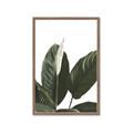 Picture of Focus of White Flower Peace Lily _GroupedProduct_Rectangle_Portrait_Framed_Matted_