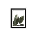 Picture of Focus of White Flower Peace Lily _GroupedProduct_Rectangle_Portrait_Framed_Matted_