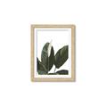 Picture of Focus of White Flower Peace Lily _GroupedProduct_Rectangle_Portrait_Framed_Matted_