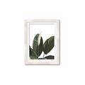 Picture of Focus of White Flower Peace Lily _GroupedProduct_Rectangle_Portrait_Framed_Matted_