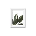 Picture of Focus of White Flower Peace Lily _GroupedProduct_Rectangle_Portrait_Framed_Matted_