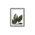 Picture of Focus of White Flower Peace Lily _GroupedProduct_Rectangle_Portrait_Framed_Matted_