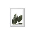 Picture of Focus of White Flower Peace Lily _GroupedProduct_Rectangle_Portrait_Framed_Matted_