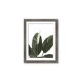 Picture of Focus of White Flower Peace Lily _GroupedProduct_Rectangle_Portrait_Framed_Matted_