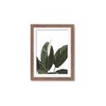 Picture of Focus of White Flower Peace Lily _GroupedProduct_Rectangle_Portrait_Framed_Matted_