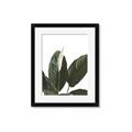Picture of Focus of White Flower Peace Lily _GroupedProduct_Rectangle_Portrait_Framed_Matted_