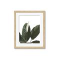 Picture of Focus of White Flower Peace Lily _GroupedProduct_Rectangle_Portrait_Framed_Matted_