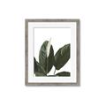 Picture of Focus of White Flower Peace Lily _GroupedProduct_Rectangle_Portrait_Framed_Matted_