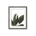 Picture of Focus of White Flower Peace Lily _GroupedProduct_Rectangle_Portrait_Framed_Matted_