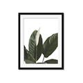 Picture of Focus of White Flower Peace Lily _GroupedProduct_Rectangle_Portrait_Framed_Matted_