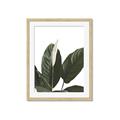 Picture of Focus of White Flower Peace Lily _GroupedProduct_Rectangle_Portrait_Framed_Matted_