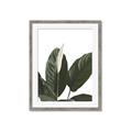 Picture of Focus of White Flower Peace Lily _GroupedProduct_Rectangle_Portrait_Framed_Matted_