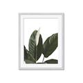 Picture of Focus of White Flower Peace Lily _GroupedProduct_Rectangle_Portrait_Framed_Matted_