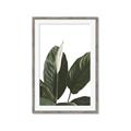 Picture of Focus of White Flower Peace Lily _GroupedProduct_Rectangle_Portrait_Framed_Matted_
