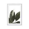 Picture of Focus of White Flower Peace Lily _GroupedProduct_Rectangle_Portrait_Framed_Matted_
