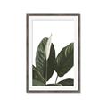 Picture of Focus of White Flower Peace Lily _GroupedProduct_Rectangle_Portrait_Framed_Matted_