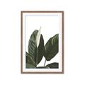 Picture of Focus of White Flower Peace Lily _GroupedProduct_Rectangle_Portrait_Framed_Matted_