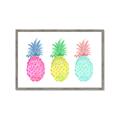Picture of Colored three pineapples  _GroupedProduct_Rectangle_Landscape_Framed_Matted_
