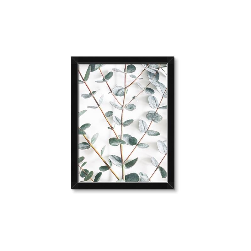 Picture of Eucalyptus Vine _GroupedProduct_Rectangle_Portrait_Photography _GroupedProduct_Rectangle_Portrait_Framed_Matted_