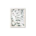 Picture of Eucalyptus Vine _GroupedProduct_Rectangle_Portrait_Photography _GroupedProduct_Rectangle_Portrait_Framed_Matted_