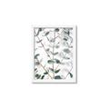 Picture of Eucalyptus Vine _GroupedProduct_Rectangle_Portrait_Photography _GroupedProduct_Rectangle_Portrait_Framed_Matted_