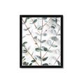 Picture of Eucalyptus Vine _GroupedProduct_Rectangle_Portrait_Photography _GroupedProduct_Rectangle_Portrait_Framed_Matted_