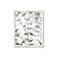 Picture of Eucalyptus Vine _GroupedProduct_Rectangle_Portrait_Photography _GroupedProduct_Rectangle_Portrait_Framed_Matted_