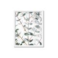Picture of Eucalyptus Vine _GroupedProduct_Rectangle_Portrait_Photography _GroupedProduct_Rectangle_Portrait_Framed_Matted_