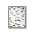 Picture of Eucalyptus Vine _GroupedProduct_Rectangle_Portrait_Photography _GroupedProduct_Rectangle_Portrait_Framed_Matted_