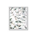 Picture of Eucalyptus Vine _GroupedProduct_Rectangle_Portrait_Photography _GroupedProduct_Rectangle_Portrait_Framed_Matted_