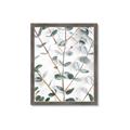 Picture of Eucalyptus Vine _GroupedProduct_Rectangle_Portrait_Photography _GroupedProduct_Rectangle_Portrait_Framed_Matted_