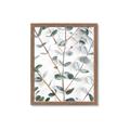 Picture of Eucalyptus Vine _GroupedProduct_Rectangle_Portrait_Photography _GroupedProduct_Rectangle_Portrait_Framed_Matted_