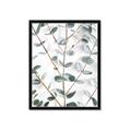 Picture of Eucalyptus Vine _GroupedProduct_Rectangle_Portrait_Photography _GroupedProduct_Rectangle_Portrait_Framed_Matted_