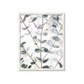 Picture of Eucalyptus Vine _GroupedProduct_Rectangle_Portrait_Photography _GroupedProduct_Rectangle_Portrait_Framed_Matted_