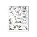 Picture of Eucalyptus Vine _GroupedProduct_Rectangle_Portrait_Photography _GroupedProduct_Rectangle_Portrait_Framed_Matted_