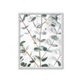 Picture of Eucalyptus Vine _GroupedProduct_Rectangle_Portrait_Photography _GroupedProduct_Rectangle_Portrait_Framed_Matted_